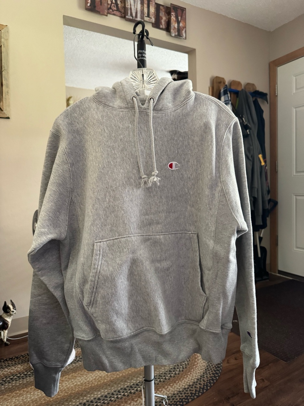 Champion Light Gray Pullover Hoodie with Chest Logo